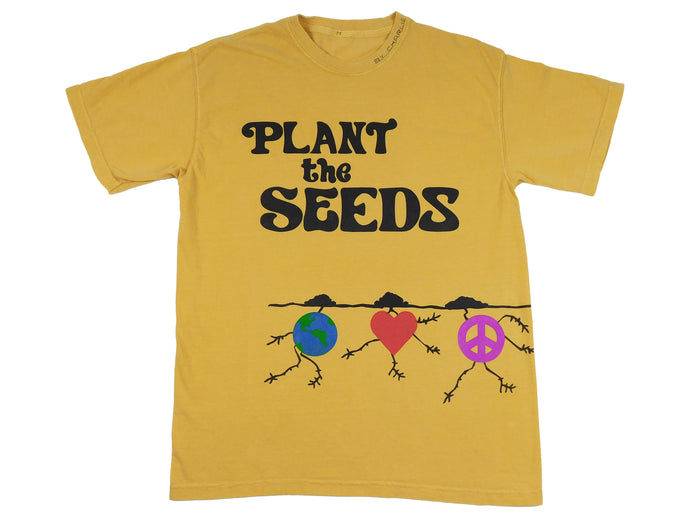 plant the seeds (step 2)